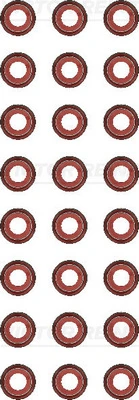 Seal Set, valve stem